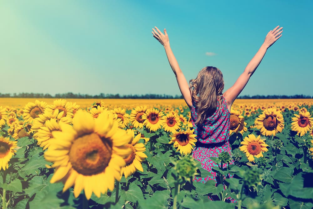 Summer-Marketing-Sunflower-Pic